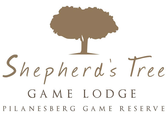 Shepherd’s Tree Game Lodge